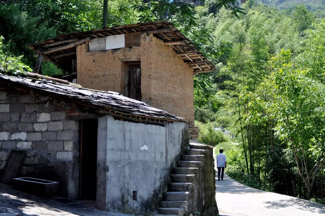 陕西焕古富硒茶（陕西富硒茶的功效与作用）-硒宝网