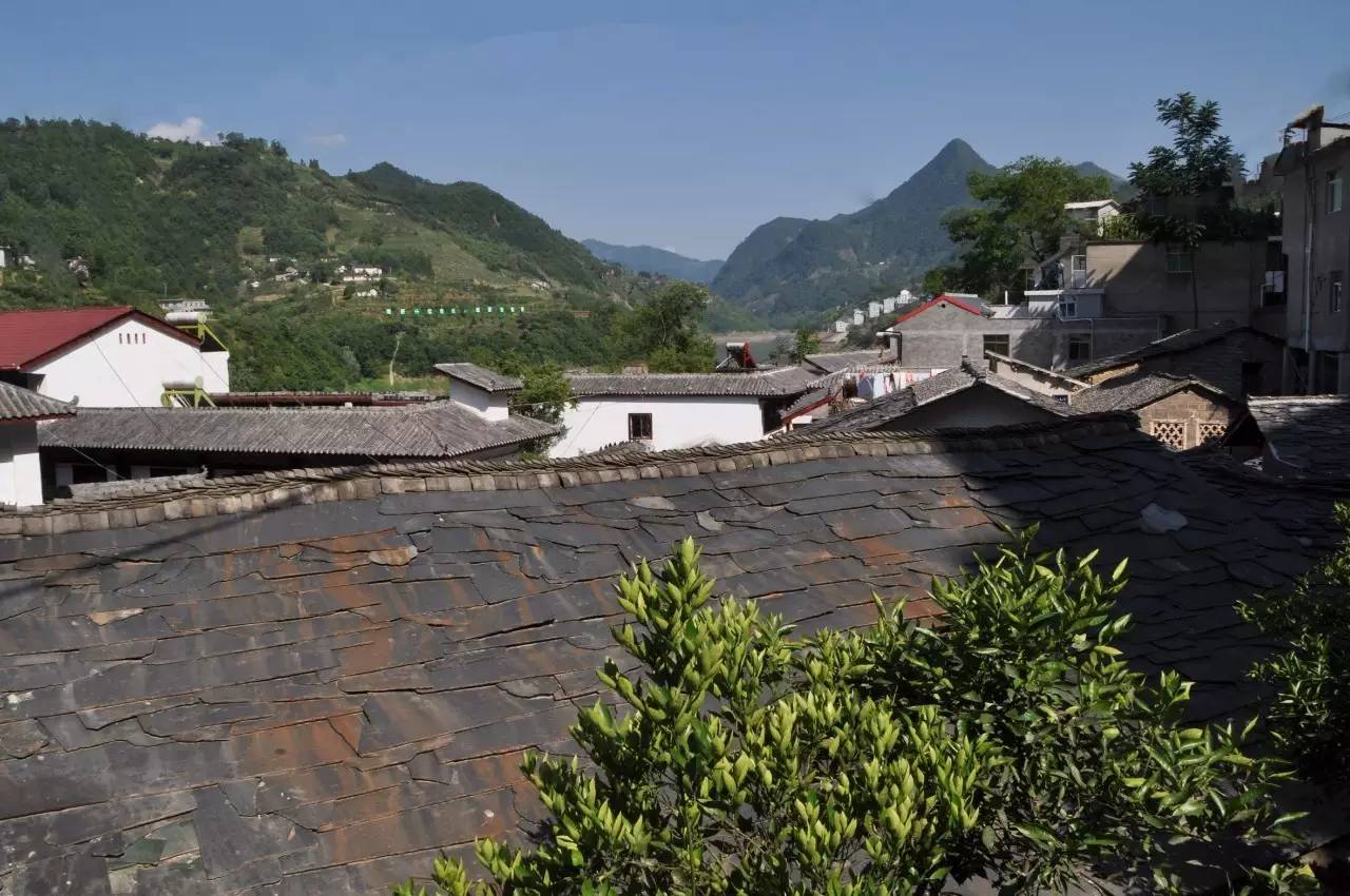 陕西焕古富硒茶（陕西富硒茶的功效与作用）-硒宝网