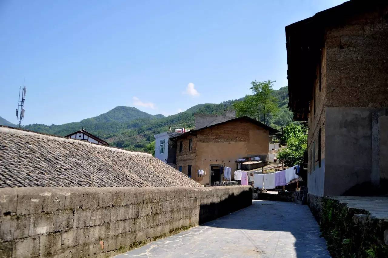 陕西焕古富硒茶（陕西富硒茶的功效与作用）-硒宝网