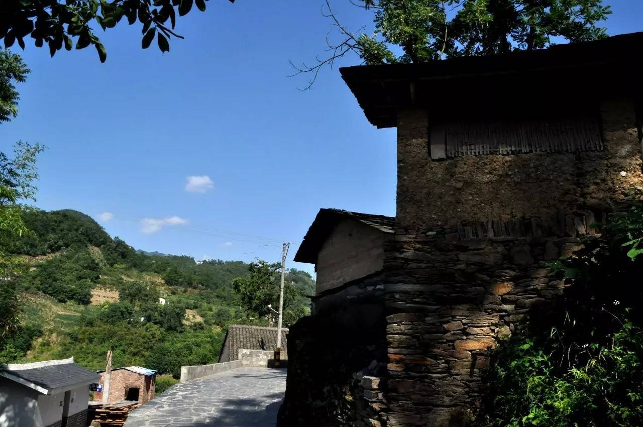 陕西焕古富硒茶（陕西富硒茶的功效与作用）-硒宝网