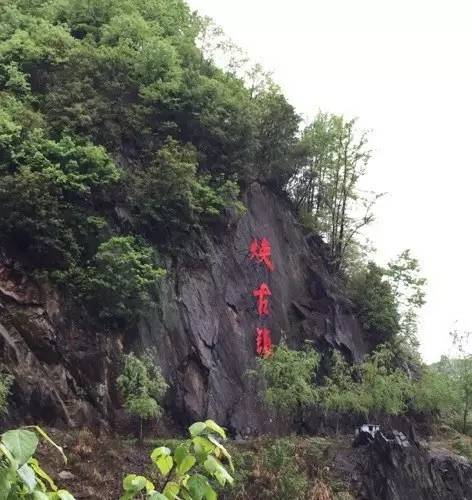 陕西焕古富硒茶（陕西富硒茶的功效与作用）-硒宝网