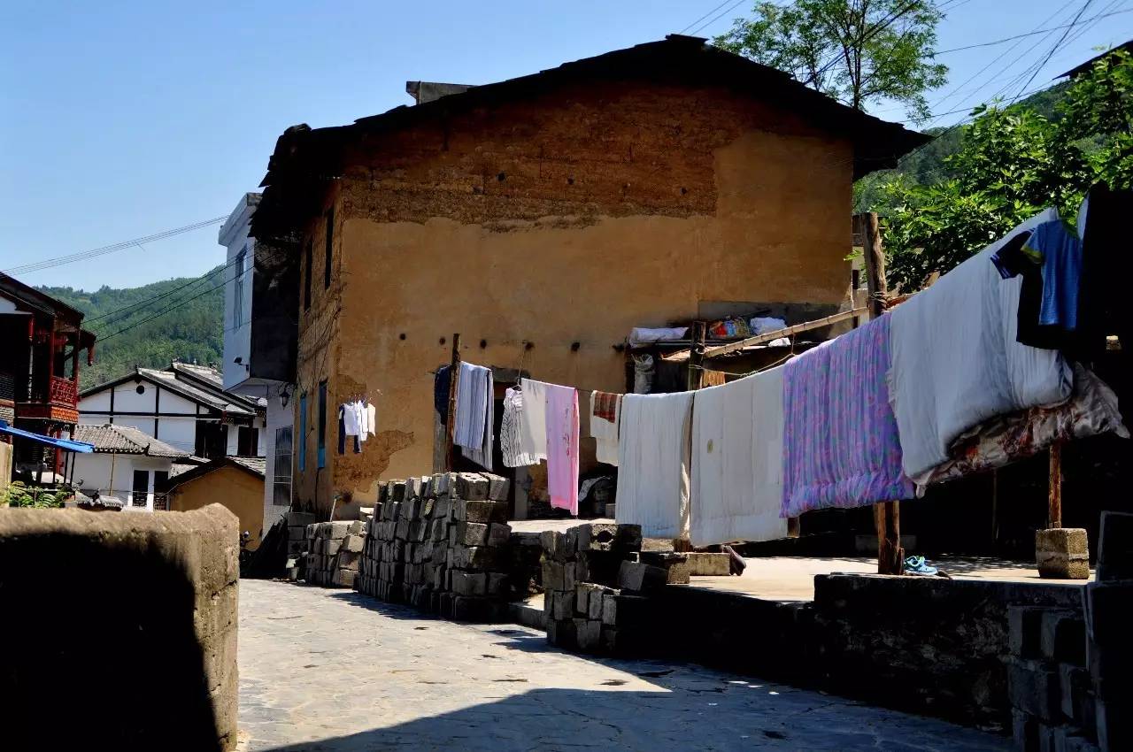 陕西焕古富硒茶（陕西富硒茶的功效与作用）-硒宝网