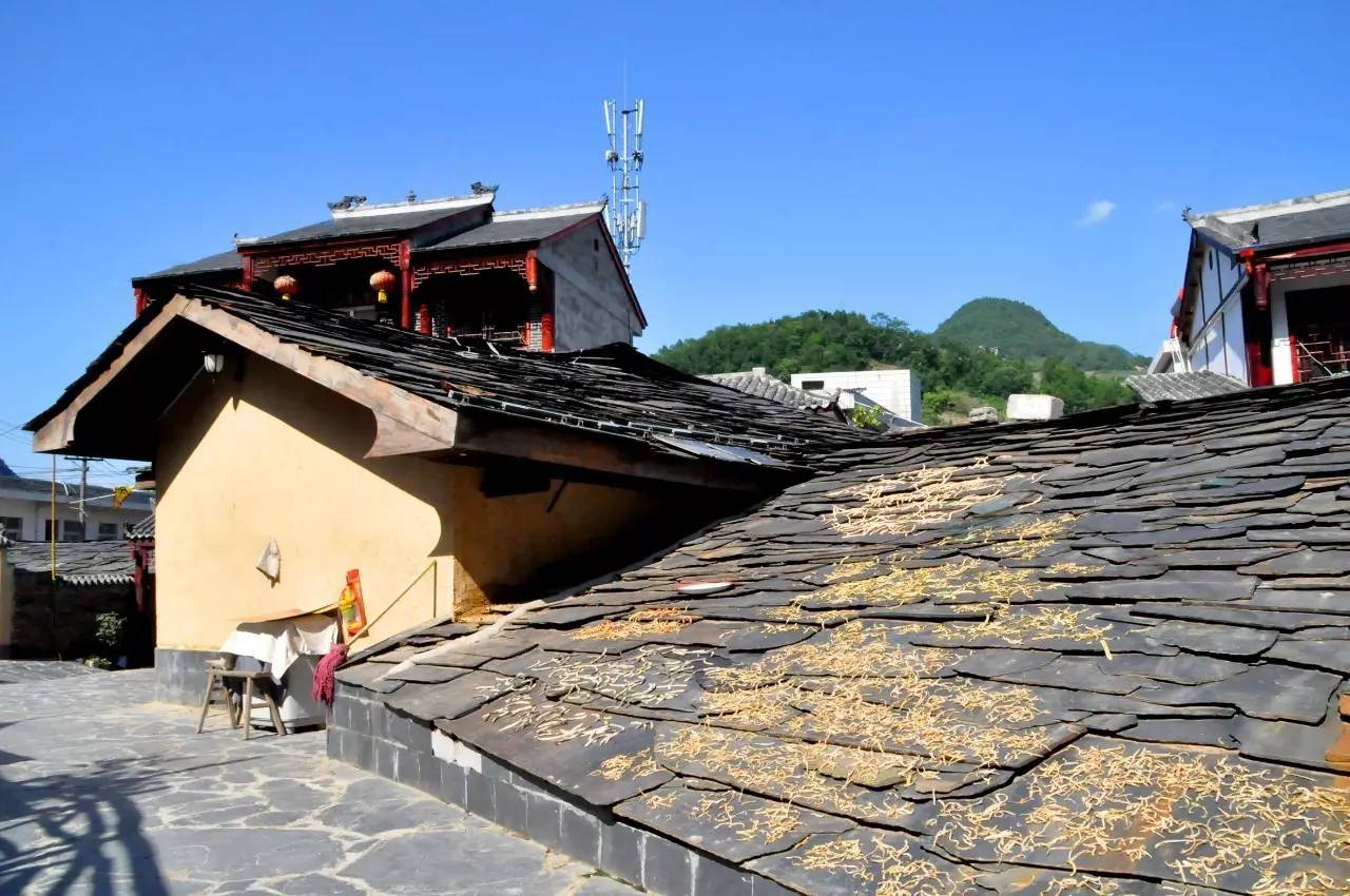 陕西焕古富硒茶（陕西富硒茶的功效与作用）-硒宝网