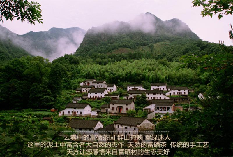 天贵绿茶富硒茶(绿茶茶富硒天贵是什么茶)-硒宝网