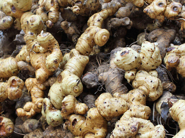 富硒茶治便秘吗（硒对便秘有作用吗）-硒宝网