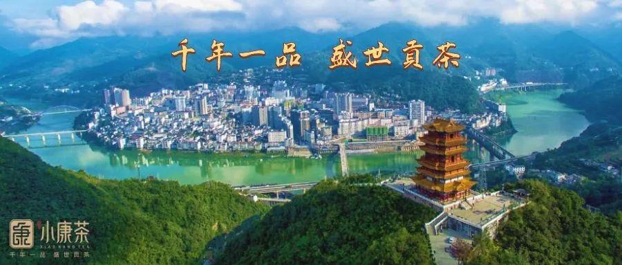 富硒茶用什么泡（富硒茶泡法）-硒宝网