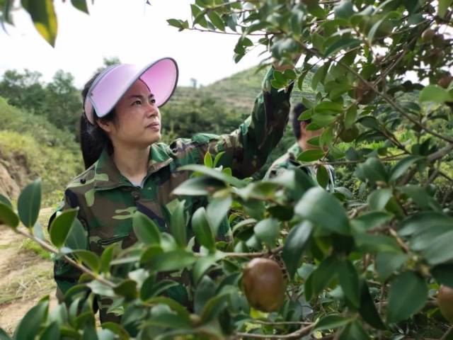 茶籽富硒养生油(茶籽养生精油的用途)-硒宝网