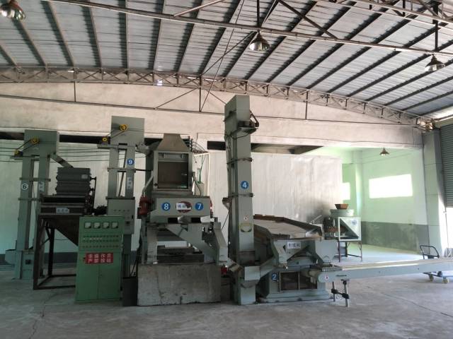 茶籽富硒养生油(茶籽养生精油的用途)-硒宝网