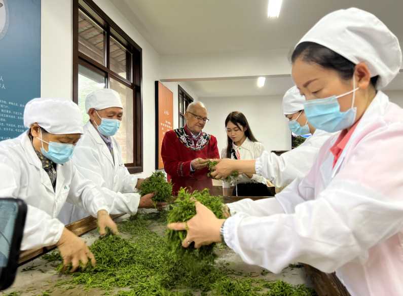 恩施富硒茶运运(2019恩施富硒茶)-硒宝网