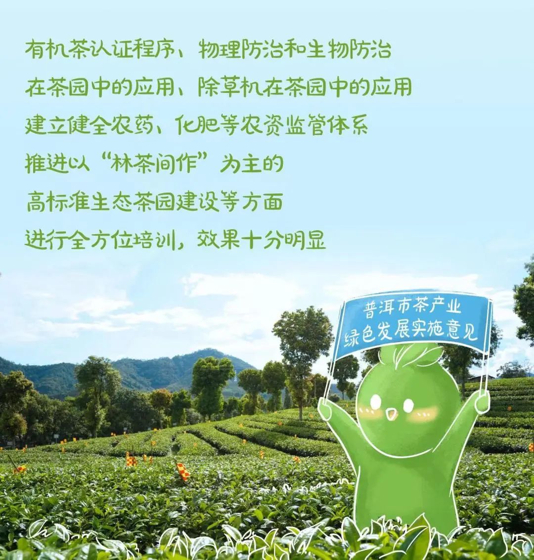 有机富硒普洱茶（普洱原生富硒茶）-硒宝网