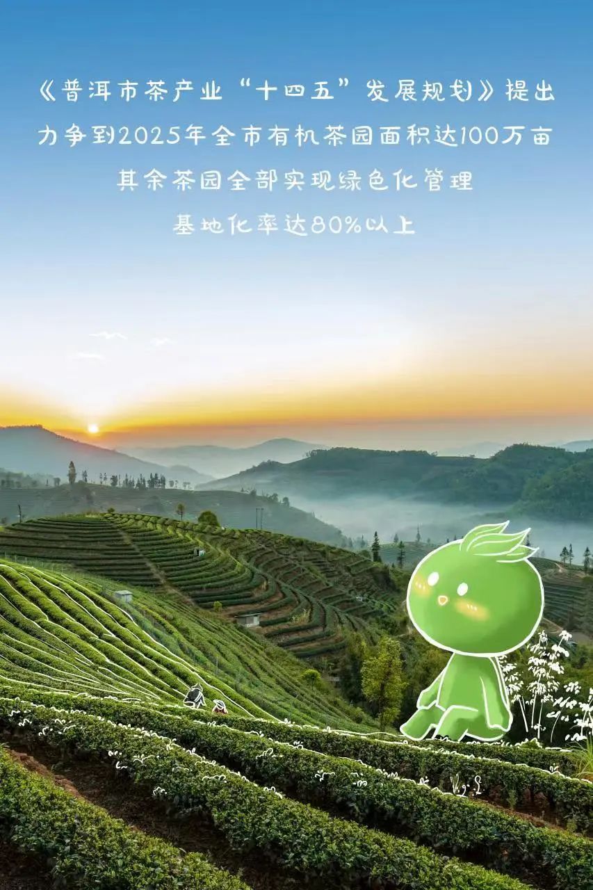 有机富硒普洱茶（普洱原生富硒茶）-硒宝网