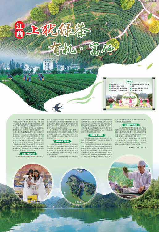 有机富硒普洱茶（富硒普洱茶好处）-硒宝网