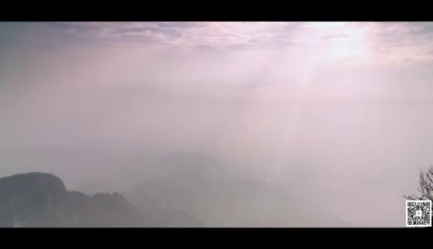 茶之峰富硒白茶(茶峰白茶富硒含量多少)-硒宝网