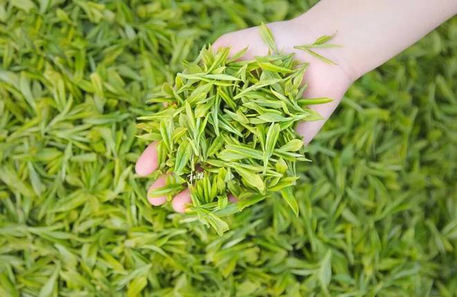 润邦富硒茶公司(德润富硒茶)-硒宝网