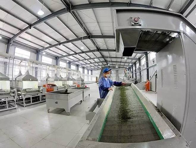 润邦富硒茶公司(德润富硒茶)-硒宝网