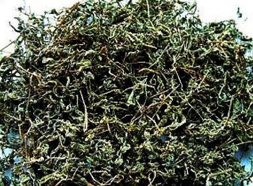 富硒莓茶减肥吗（减肥茶莓富硒水能喝吗）-硒宝网