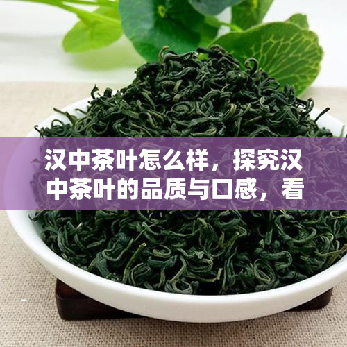 汉中茶有富硒吗(汉中高山富硒茶多少钱一斤)-硒宝网