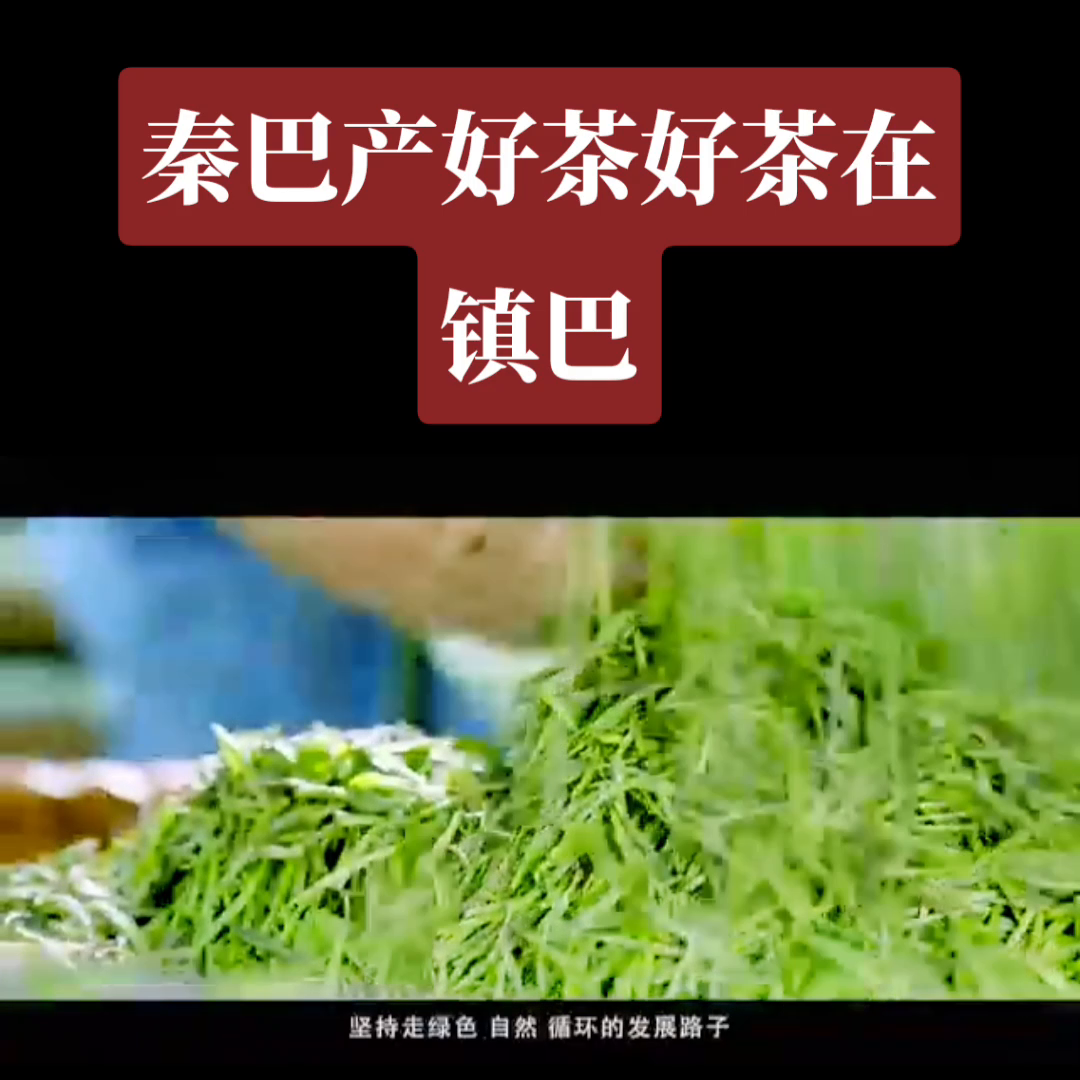 汉中有机富硒茶（陕西富硒茶）-硒宝网