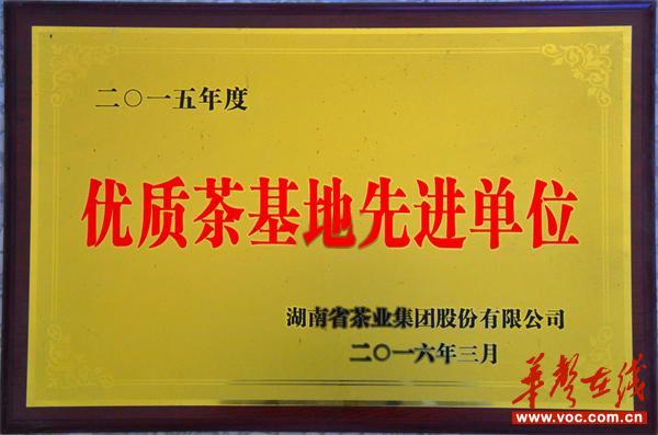 富硒茶基地产量(富硒茶市场分析)-硒宝网