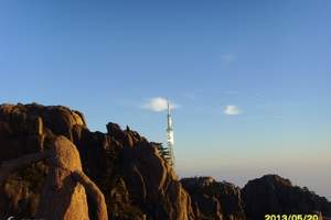 霄坑野生富硒茶(安徽霄坑富硒野生茶)-硒宝网