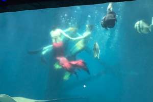 霄坑野生富硒茶(安徽霄坑富硒野生茶)-硒宝网