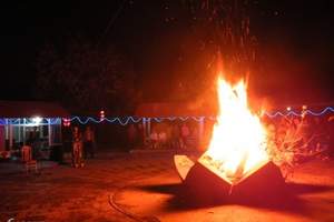 霄坑野生富硒茶(安徽霄坑富硒野生茶)-硒宝网