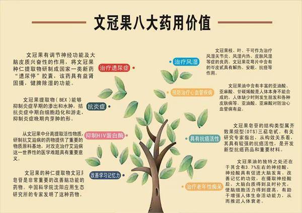 天然富硒养生茶(原生态富硒茶)-硒宝网