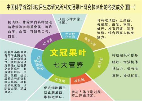 天然富硒养生茶(原生态富硒茶)-硒宝网