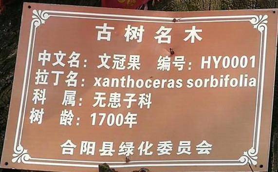 天然富硒养生茶(原生态富硒茶)-硒宝网