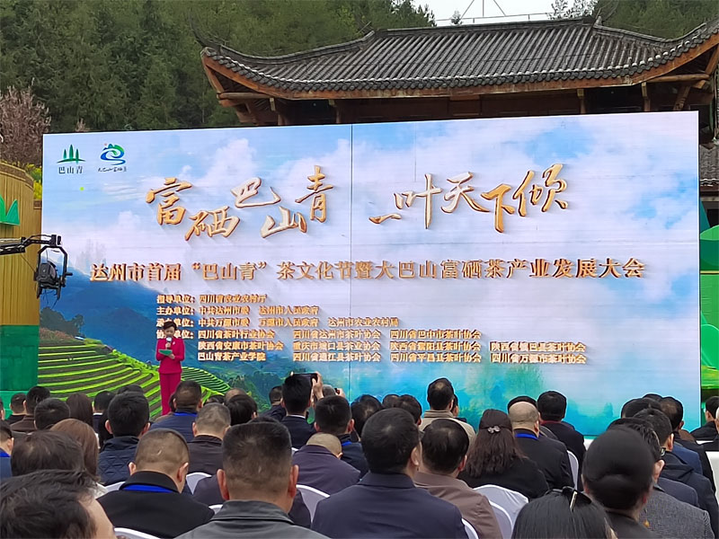 富硒茶基地产量(富硒茶产业)-硒宝网