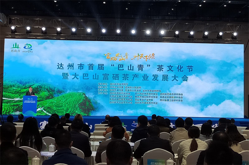 富硒茶基地产量(富硒茶产业)-硒宝网