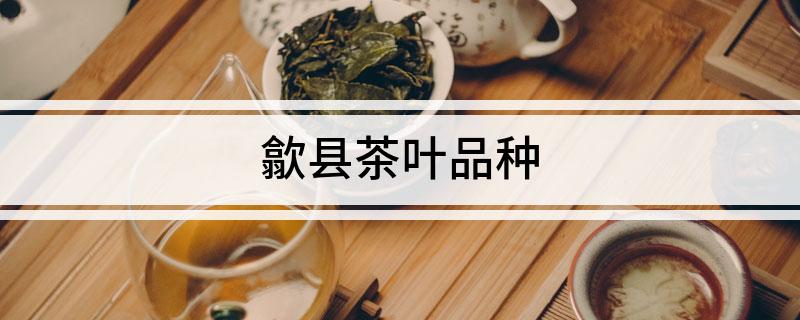 霄坑野生富硒茶(霄坑野生茶精装礼盒装)-硒宝网