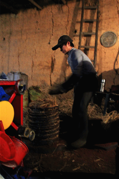 昆明富硒生茶饼（富硒茶产地哪里）-硒宝网