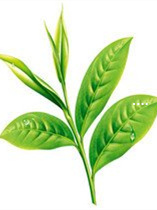 重庆富硒生茶饼(重庆富硒网)-硒宝网