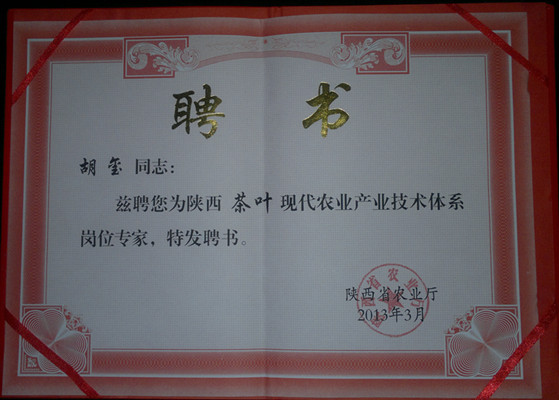 紫阳富硒茶网购（紫阳富硒茶多少钱一斤）-硒宝网