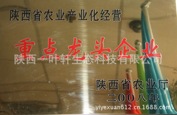 紫阳富硒茶网购（紫阳富硒茶多少钱一斤）-硒宝网