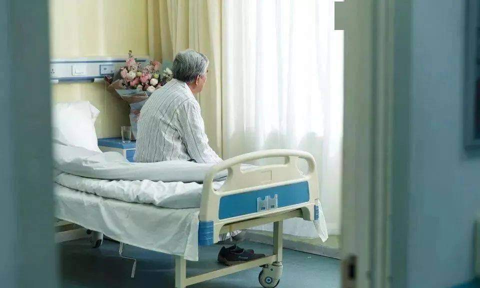 野生富硒莓茶粉(莓茶粉末)-硒宝网