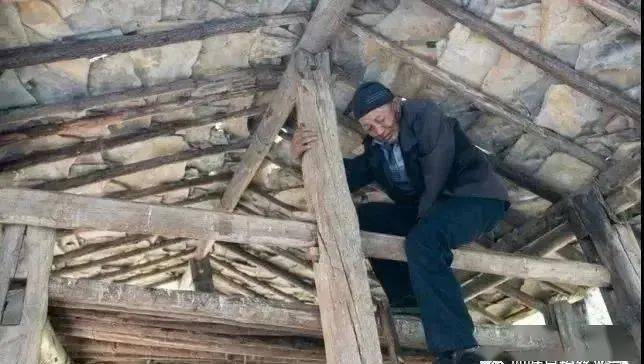 野生富硒莓茶粉(莓茶粉末)-硒宝网