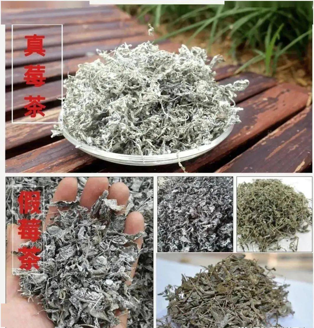 野生富硒莓茶粉(莓茶粉末)-硒宝网