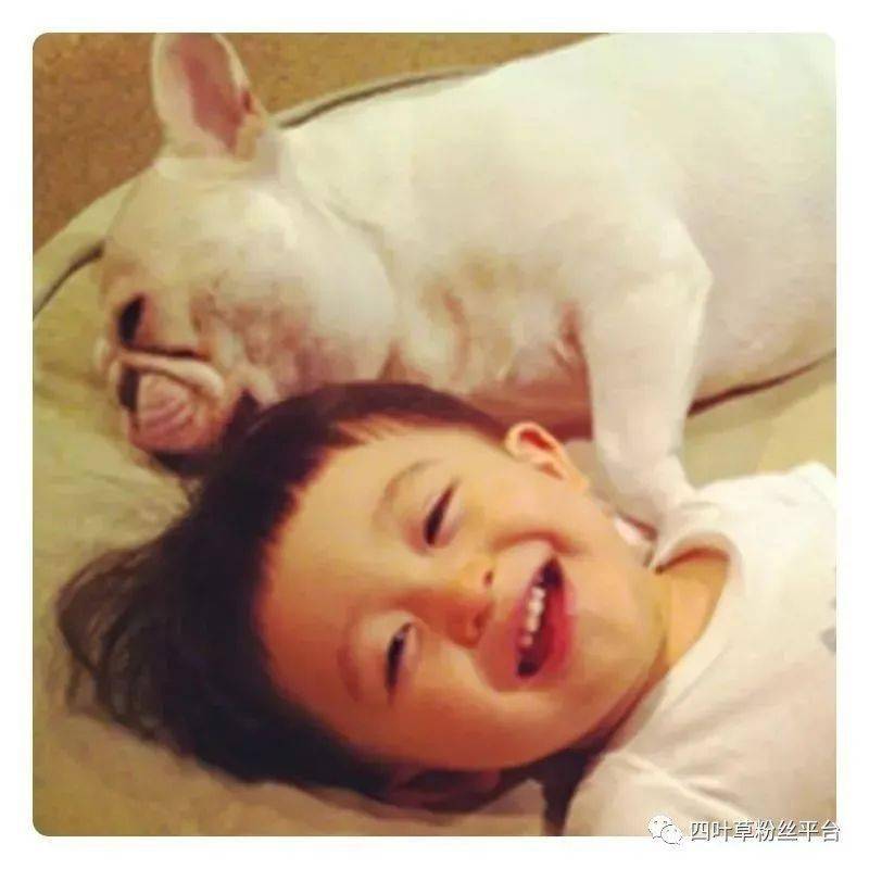 野生富硒莓茶粉(莓茶粉末)-硒宝网