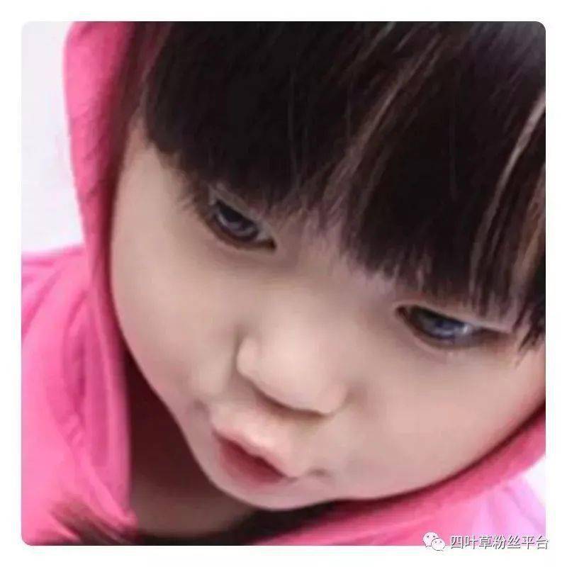 野生富硒莓茶粉(莓茶粉末)-硒宝网