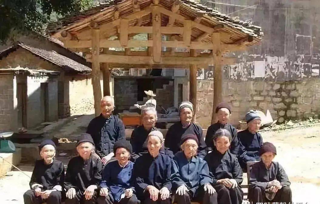 野生富硒莓茶粉(莓茶粉末)-硒宝网