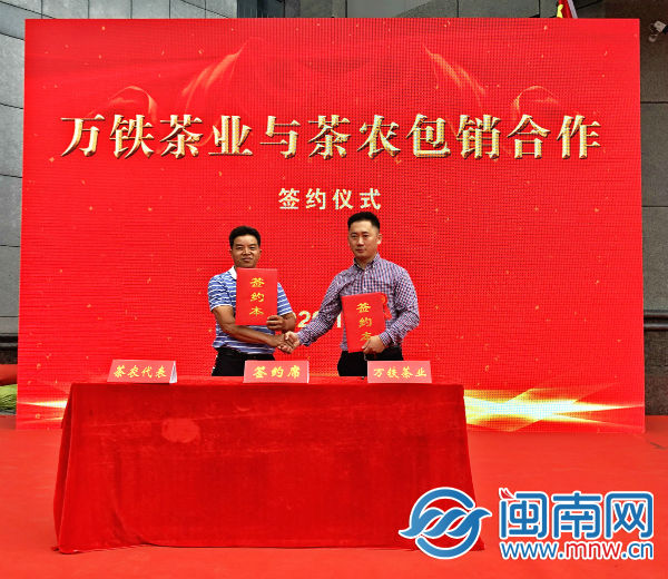 玉叶南岭富硒茶（富硒茶树）-硒宝网