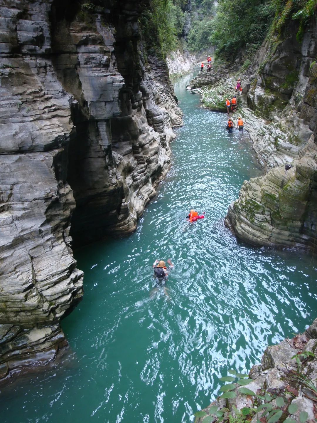 恩施富硒茶珍姐（珍硒绿茶湖北）-硒宝网