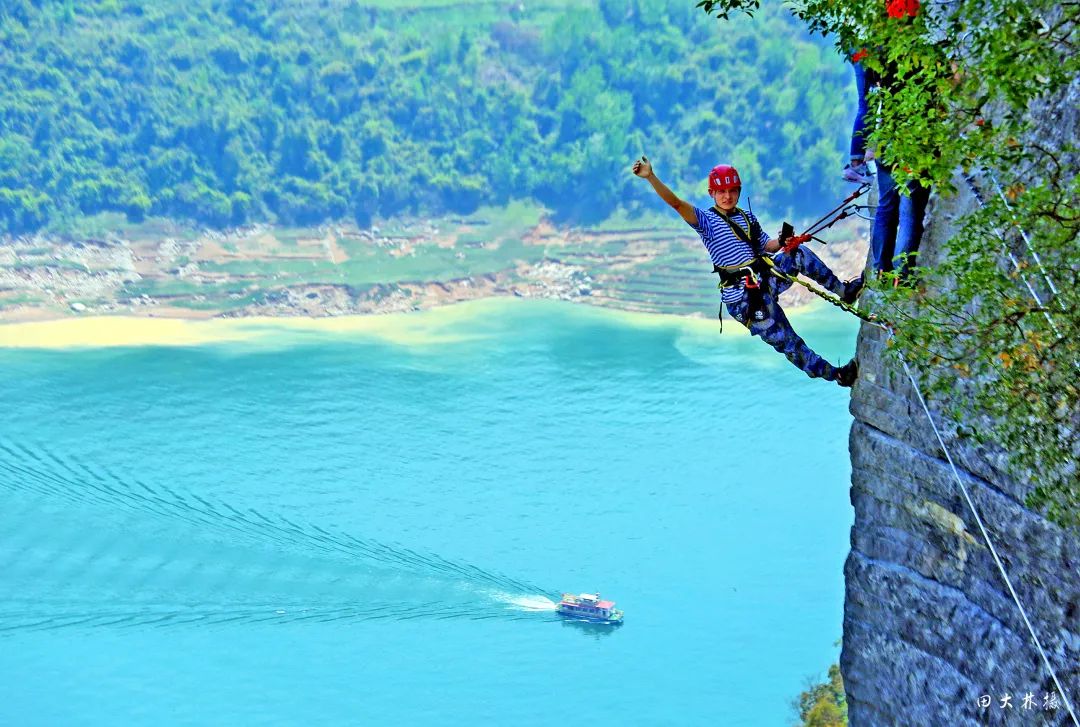 恩施富硒茶珍姐（珍硒绿茶湖北）-硒宝网