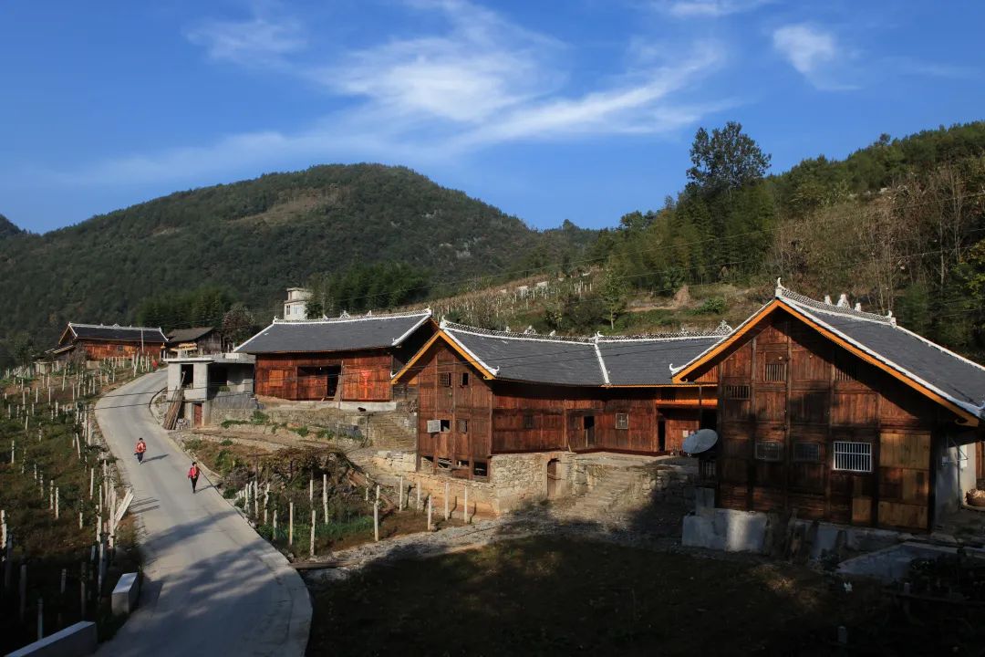 恩施富硒茶珍姐（珍硒绿茶湖北）-硒宝网