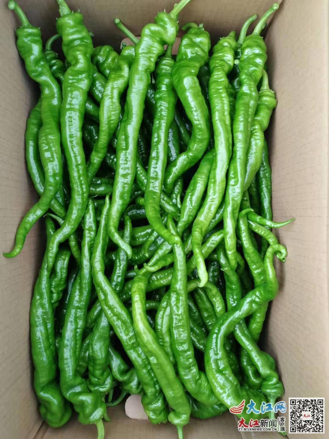 富硒茶 广告语（富硒茶怎么发朋友圈）-硒宝网