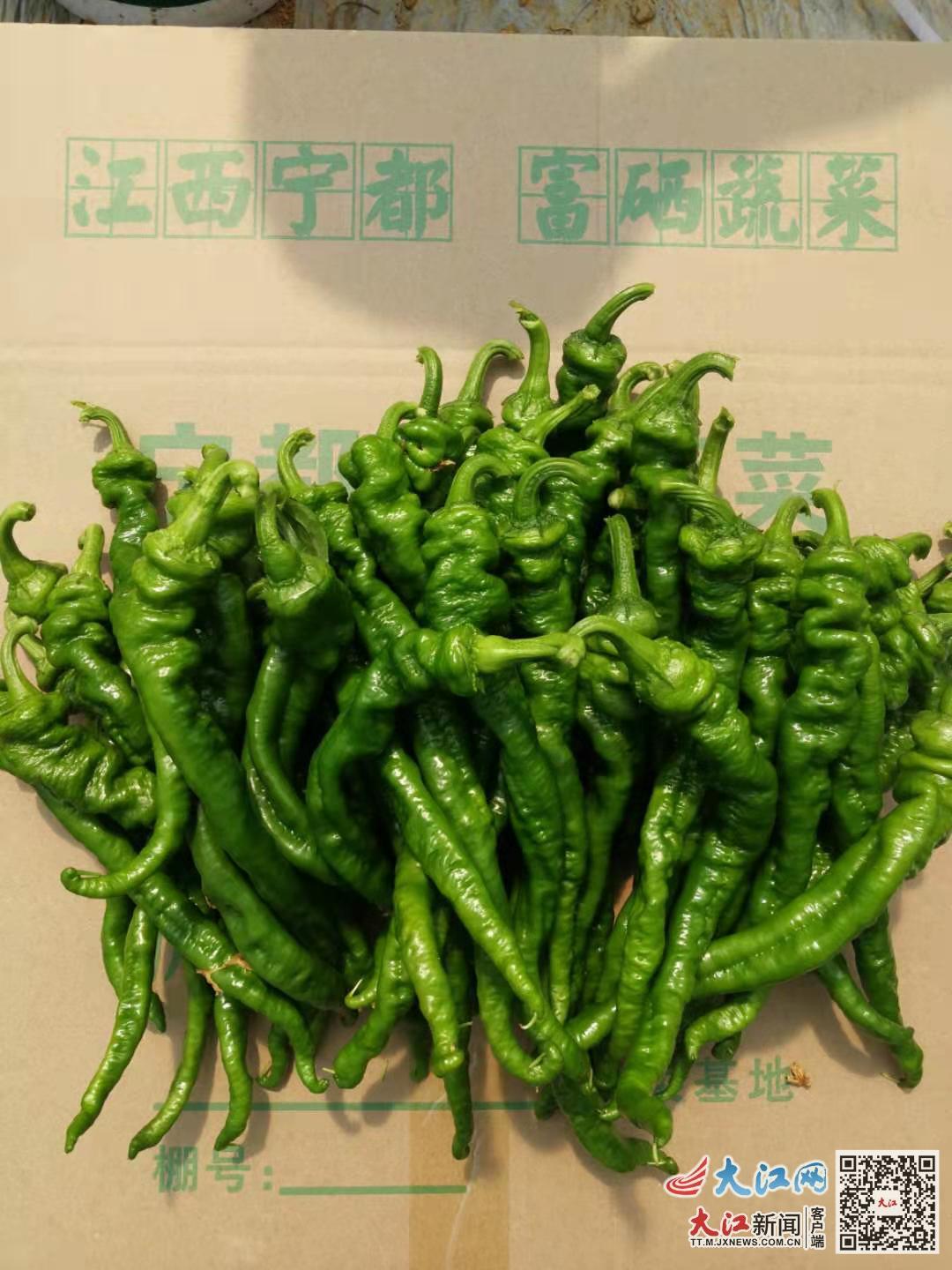 富硒茶 广告语（富硒茶怎么发朋友圈）-硒宝网