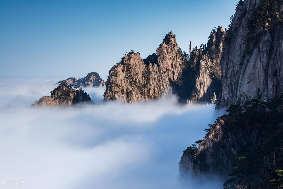 安徽有富硒茶吗（安徽富硒茶业有限公司）-硒宝网