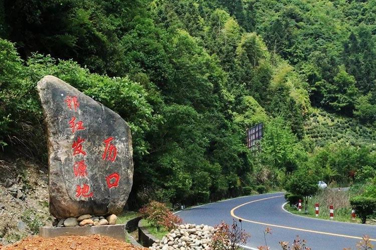 安徽有富硒茶吗（安徽富硒茶业有限公司）-硒宝网